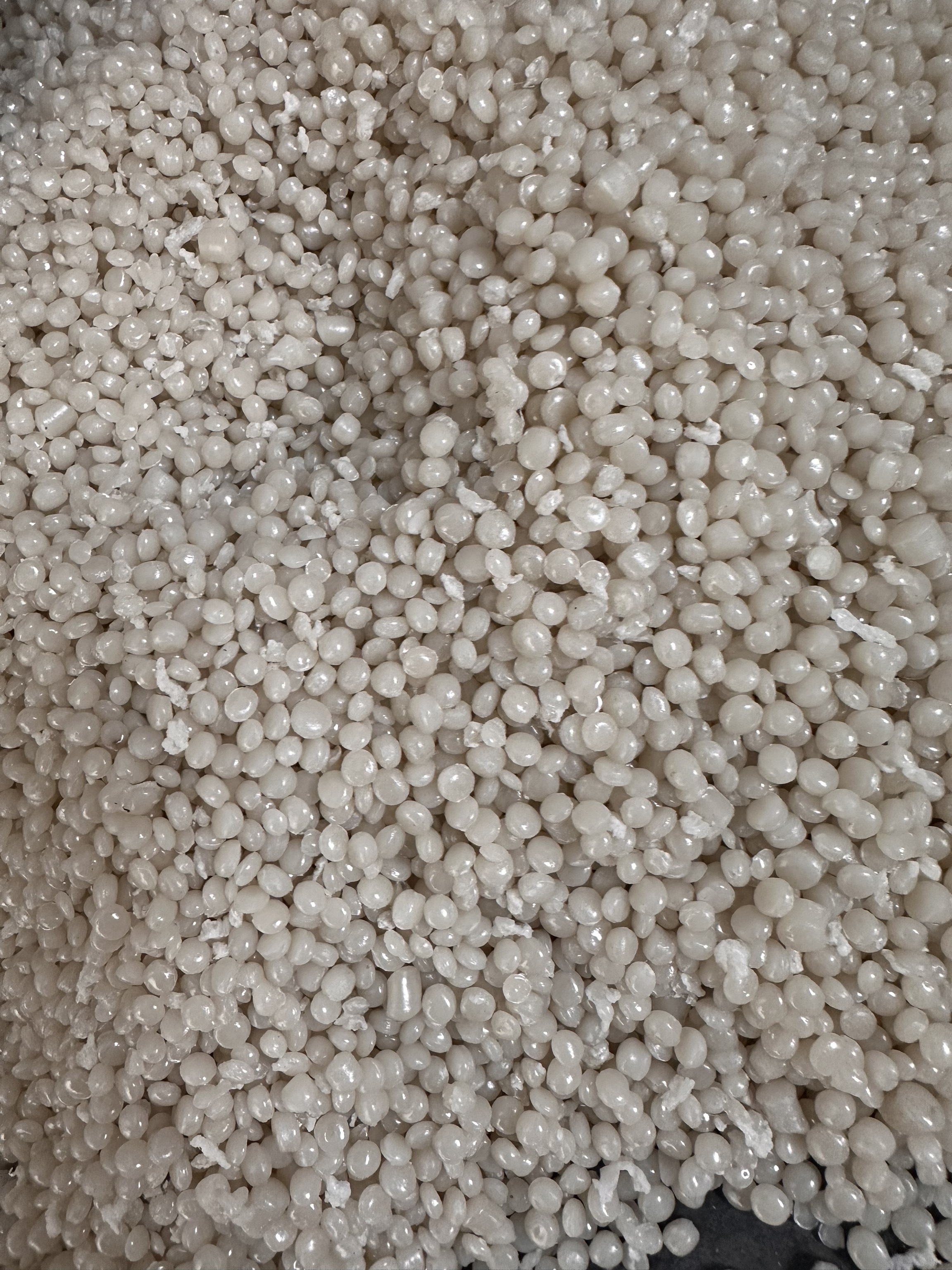 gpps granules